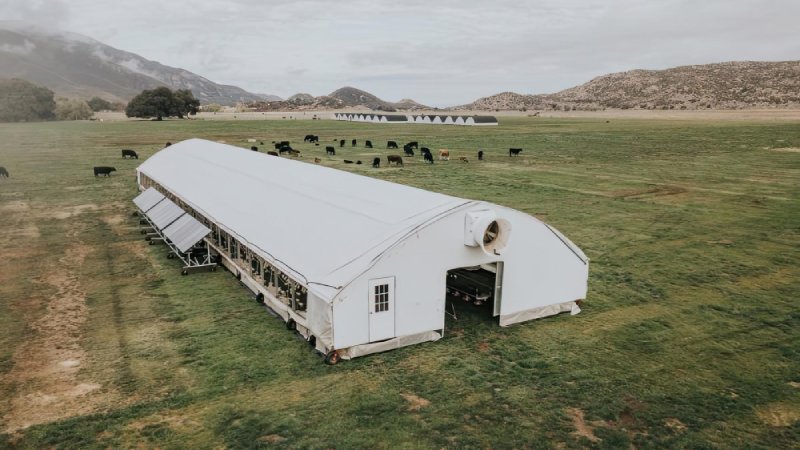 Przechowywanie plonów